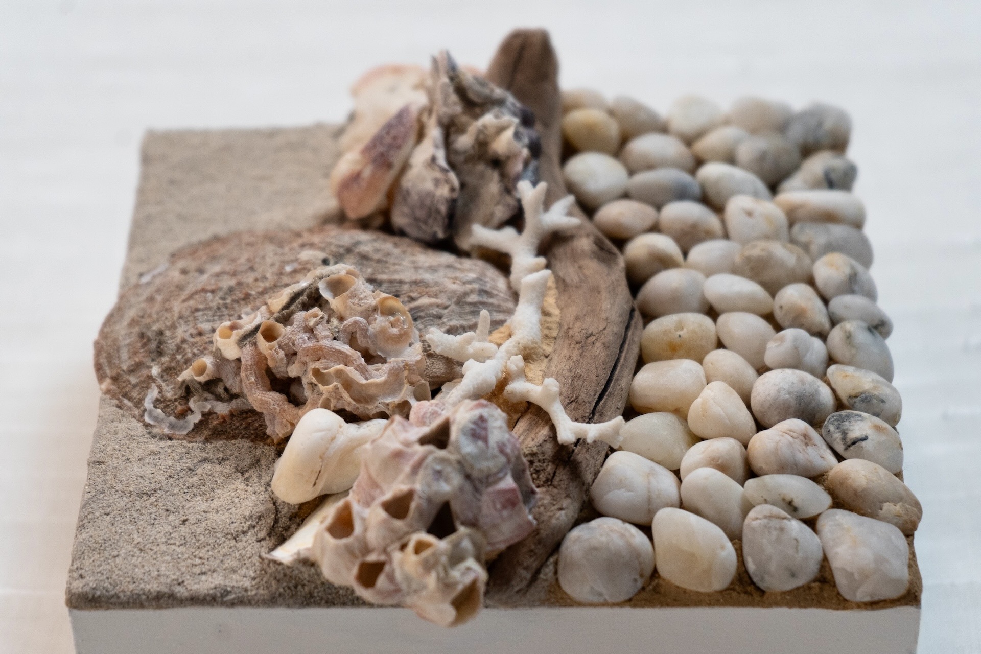 Shell Keeper 2